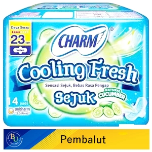 Charm pembalut cooling fresh sejuk 14's wing 23cm