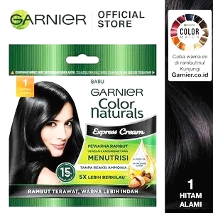 Garnier hair color naturals express 1 hitam