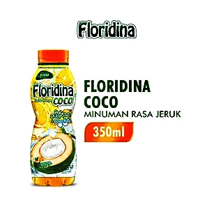 Floridina Juice Pulp Coco Bit 350Ml